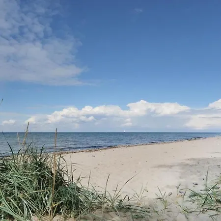 Loeoenboom * Groß Schwansee