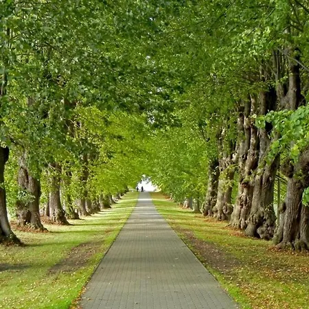 Loeoenboom * Groß Schwansee